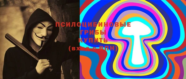 соль ск Шимановск