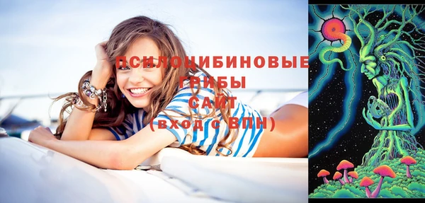 не бодяженный Краснослободск