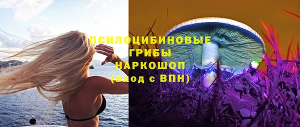 MDMA Шенкурск