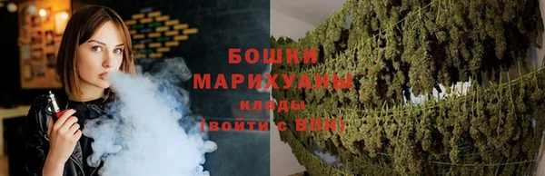 молекула духа Красноперекопск
