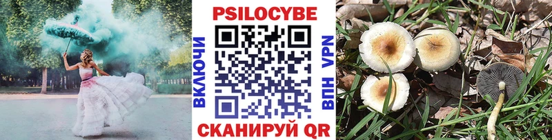 Псилоцибиновые грибы Cubensis  Лаишево 