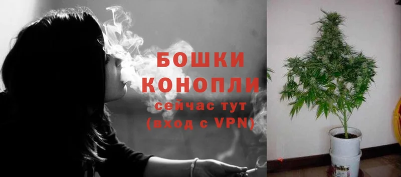 как найти закладки  Лаишево  Бошки марихуана OG Kush 